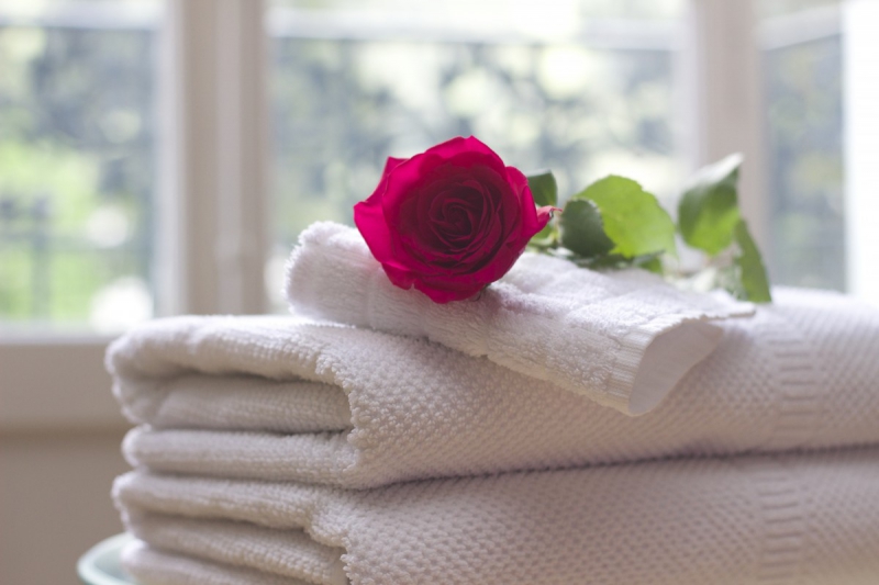 chambre-hote-BESSE SUR ISSOLE-min_towel_rose_clean_care_salon_spa_white_bath-731641